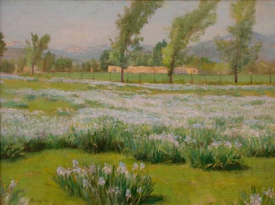 Wild Iris by Bert Phillips