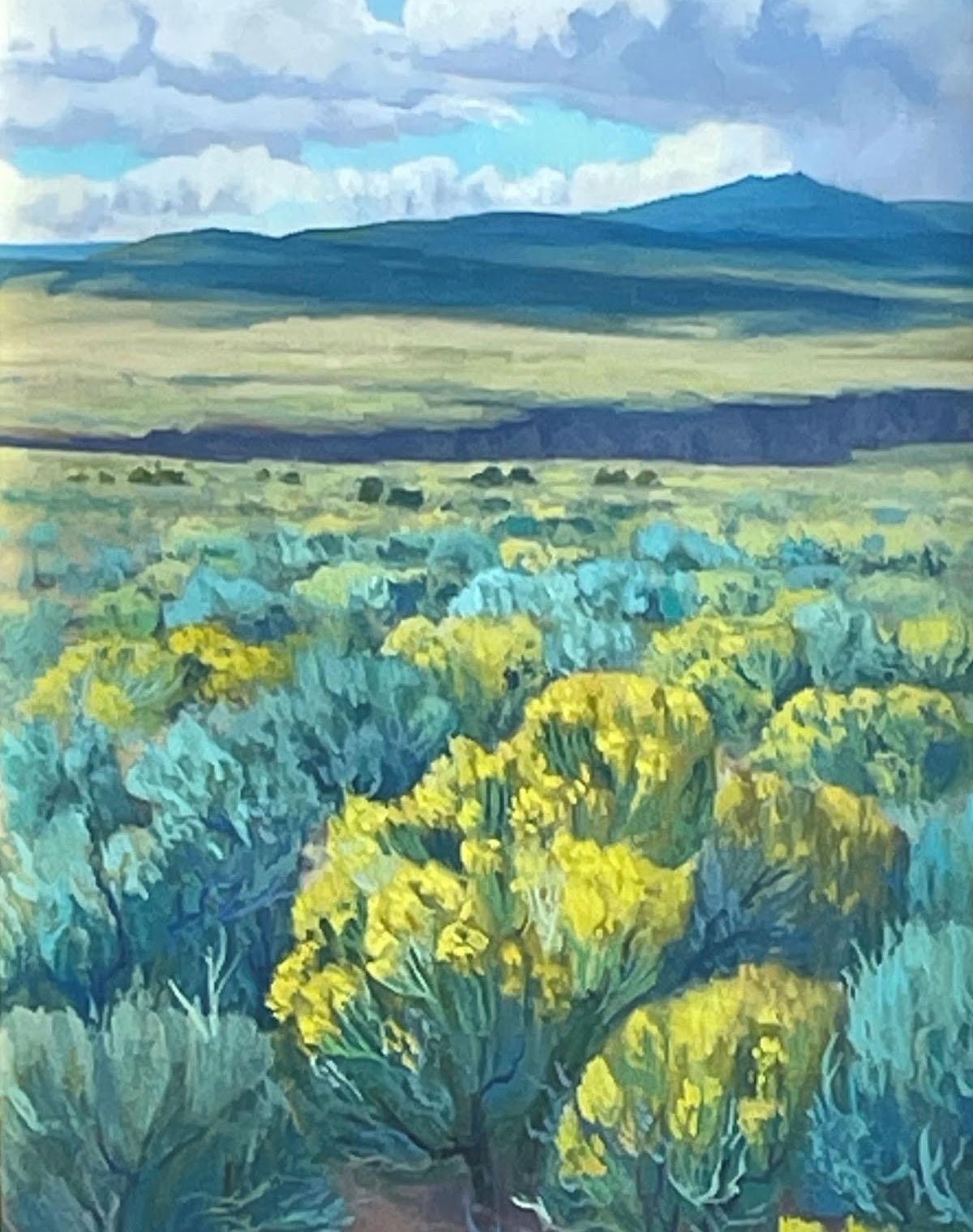 Chamisa Overlook by Katelyn Betsill Del Vecchio
