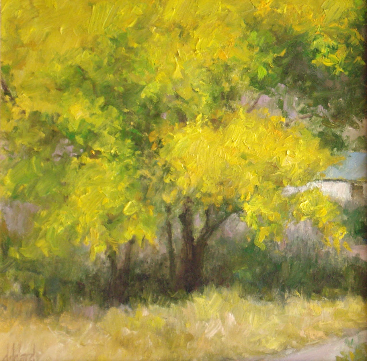 By the Cottonwood by Don Ward