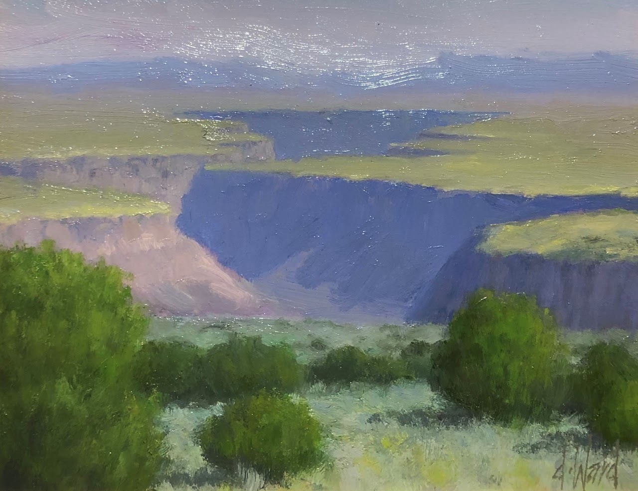Overview, Rio Grande Gorge by Don Ward