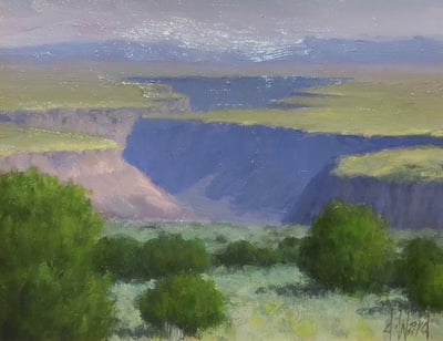 Overview, Rio Grande Gorge by Don Ward