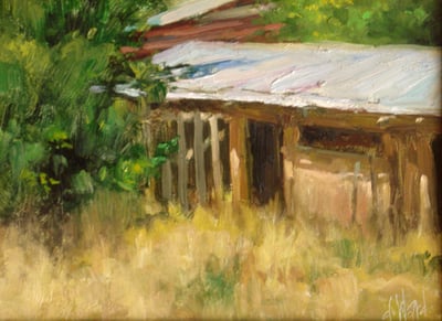 Abandoned Shed by Don Ward