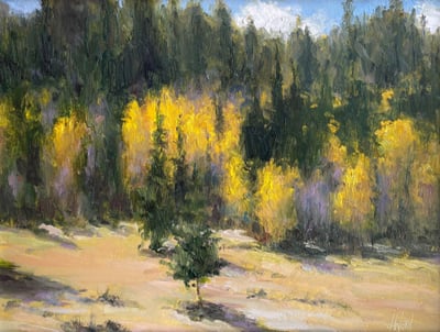 Aspen and Pine by Don Ward