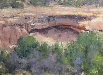At Mesa Verde by Don Ward