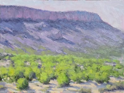 Down in the Gorge by Don Ward