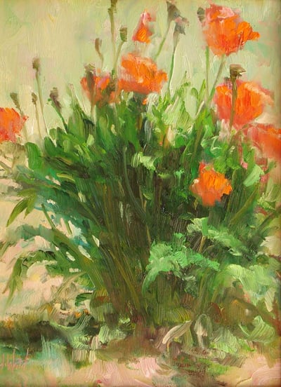 Poppies by Don Ward