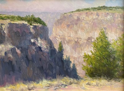 Canyon View by Don Ward