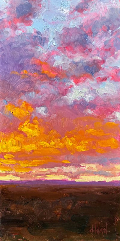 Sunset Ascension by Don Ward
