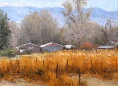 Taos Outback by Don Ward