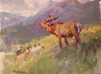 Buggeling Elk by Frank Hoffman
