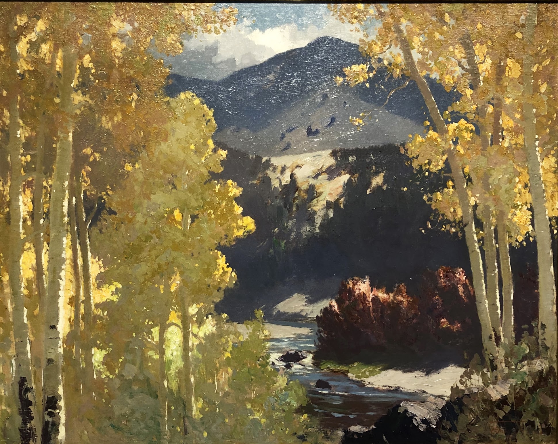 Aspens and Sunlight by Fremont F. Ellis