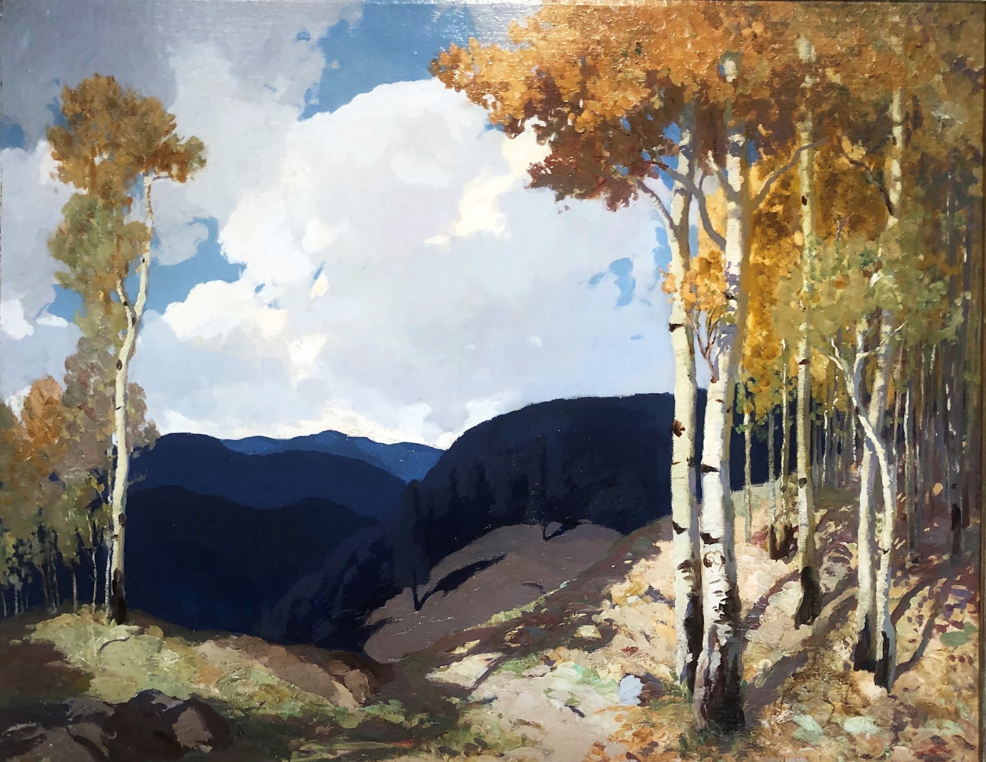 Shadows on the Mountains by Fremont F. Ellis
