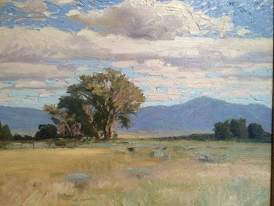 Taos Pasture by Rod Goebel