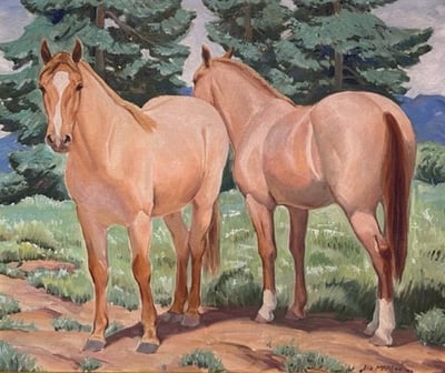 The Dunn Horses by Ila McAfee