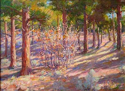 Coccino Pines by J.H. Sharp