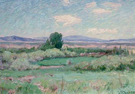 Green Algae by J.H. Sharp