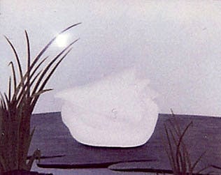"Peace" Sea Shell by Rebecca Salsbury James