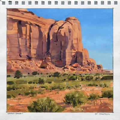 Navajo Desert by Spike Ress