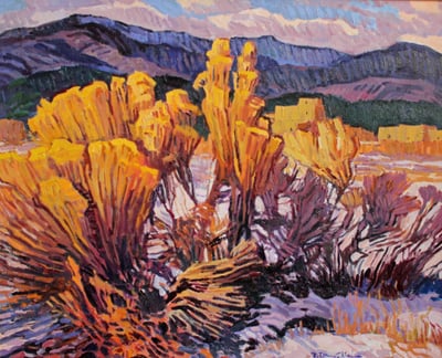 Chamisa Shadows by Robert Daughters