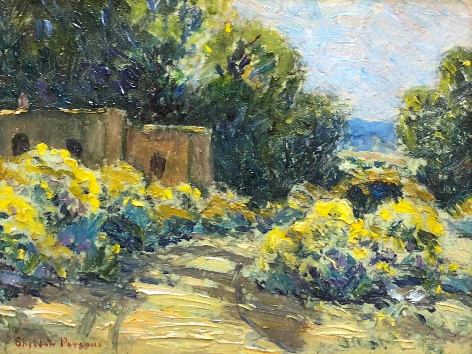 Chamisa and Adobes - Taos by Sheldon Parsons