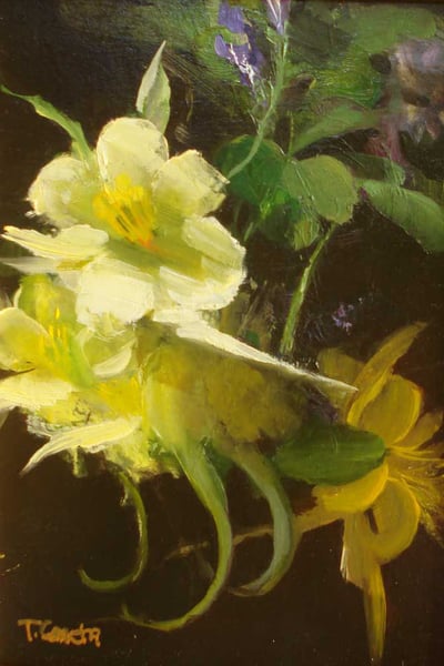 Columbine by Tracy Concha