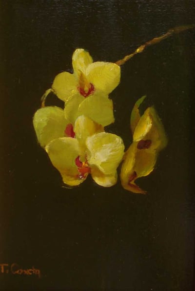 Winter Orchids by Tracy Concha