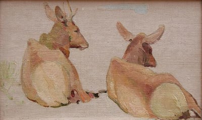 Spike and Cow Elk by W.  Herbert Dunton