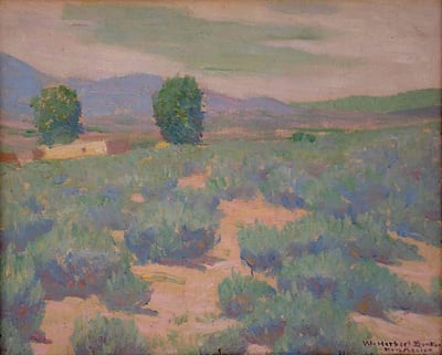 Summer Sage by W.  Herbert Dunton
