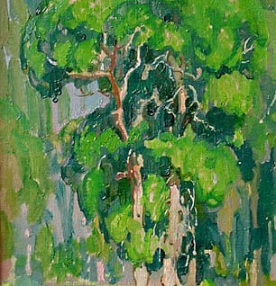 Cottonwoods by W. Herbert Dunton
