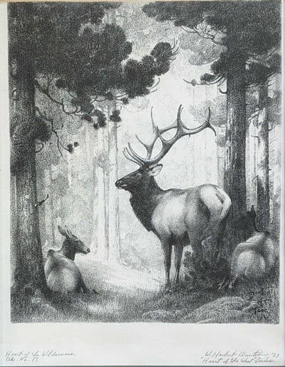Heart of the Wilderness by W. Herbert Dunton