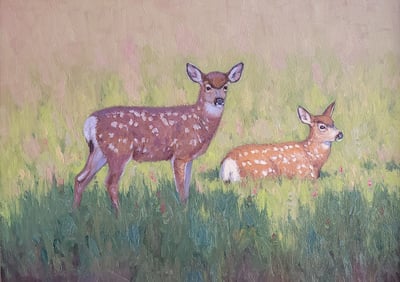 A Study of Fawns in Light and Shade by Scott Yeager