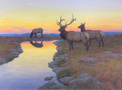Alpine Elk by Scott Yeager