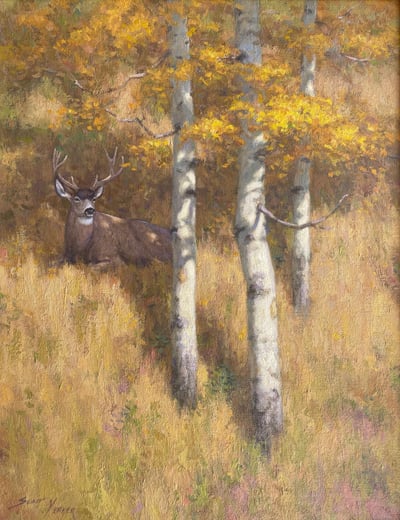 Aspen Shade by Scott Yeager