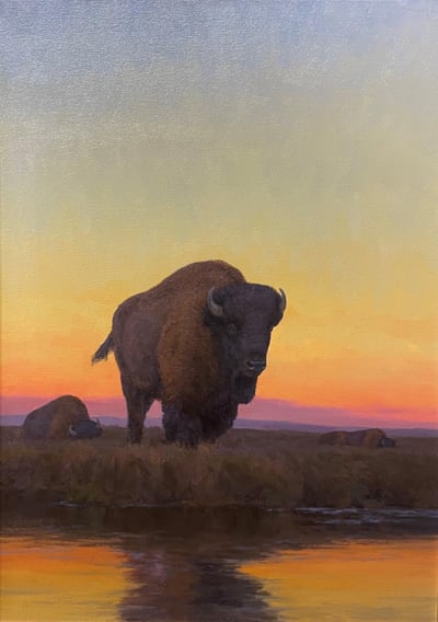 Buffalo Sky by Scott Yeager