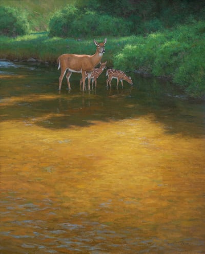 Cool Summer Shade by Scott Yeager