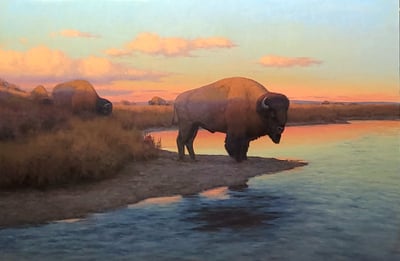 Evening by Scott Yeager