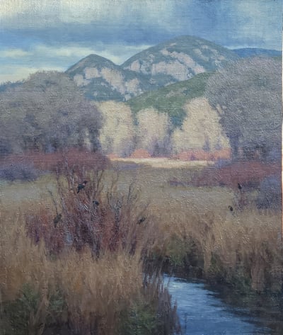 Rio Fernando Redwings by Scott Yeager