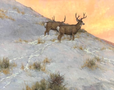 Two Bucks by Scott Yeager