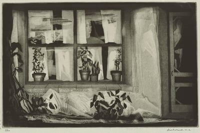 The Widows Place by Doel Reed