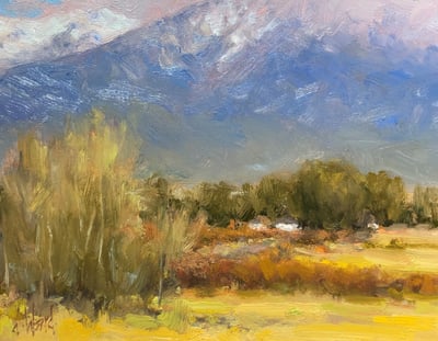 Winter Aspens by Don Ward