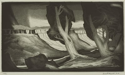 Wild River by Doel Reed